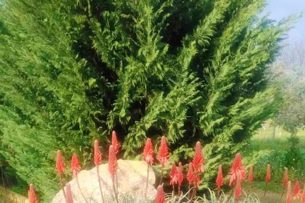 Photo of Outdoor in Grammichele
