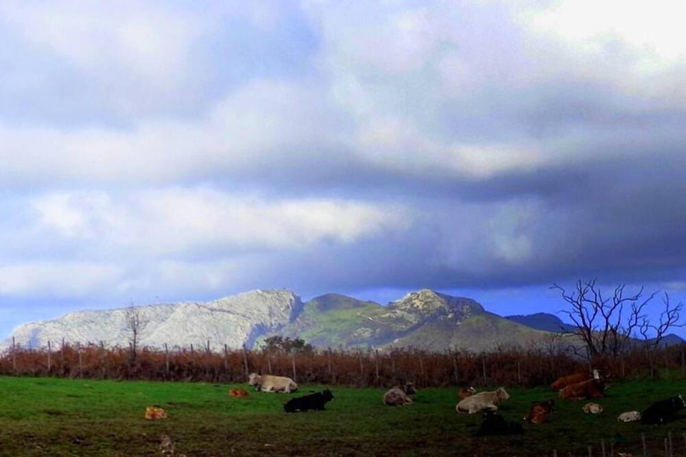 Photo of Others in Galati Mamertino
