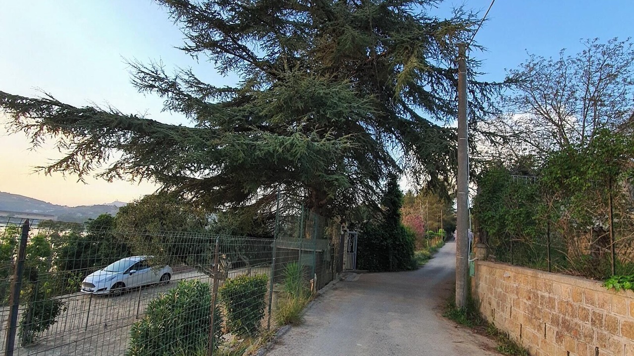 Photo of Outdoor in Pergusa