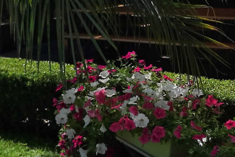Photo of Outdoor in Santa Venerina