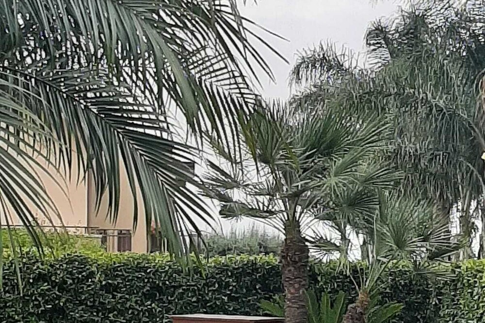 Photo of Outdoor in Santa Venerina