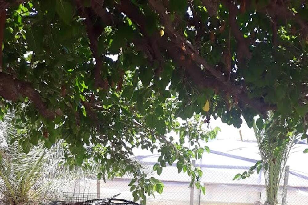 Photo of Outdoor in Acate