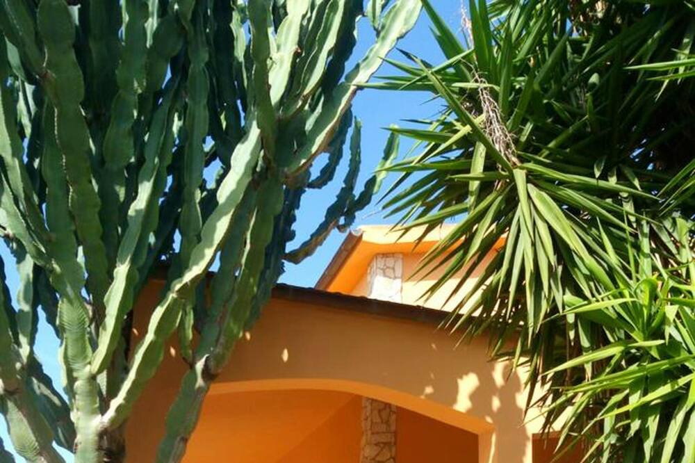 Photo of Others in Agrigento