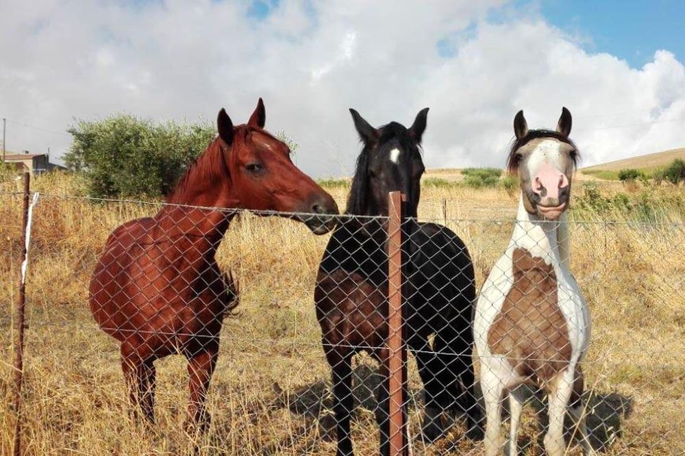 Photo of Others in Lercara Friddi