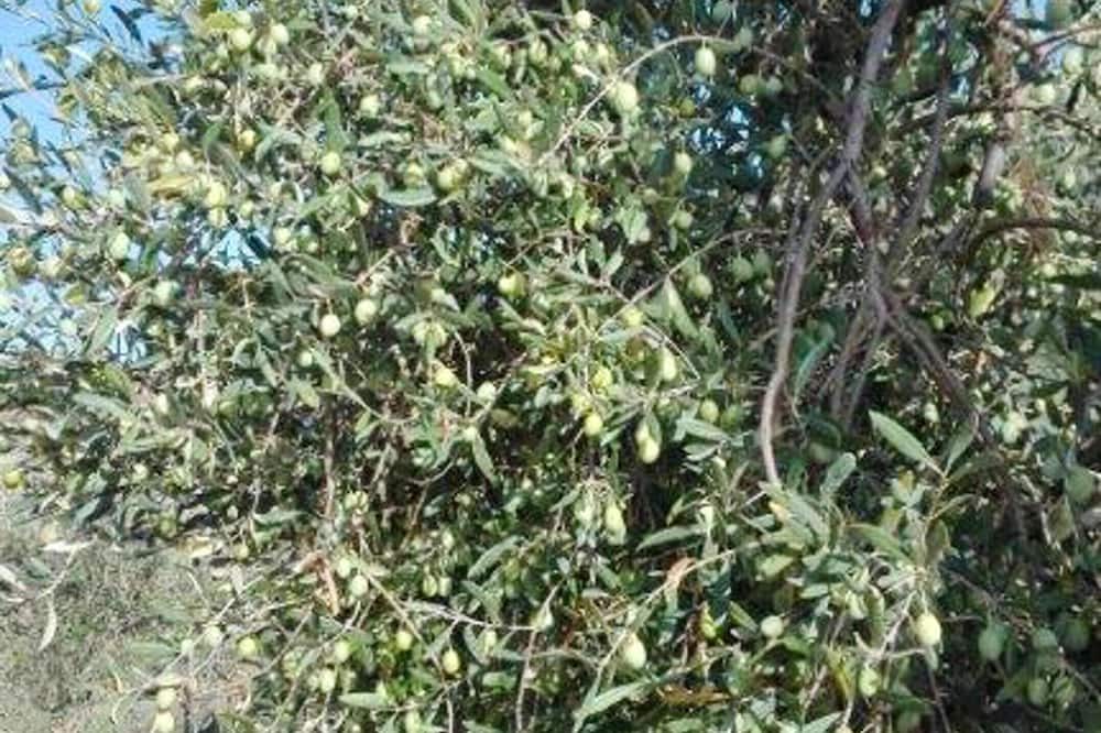 Photo of Outdoor in Lercara Friddi