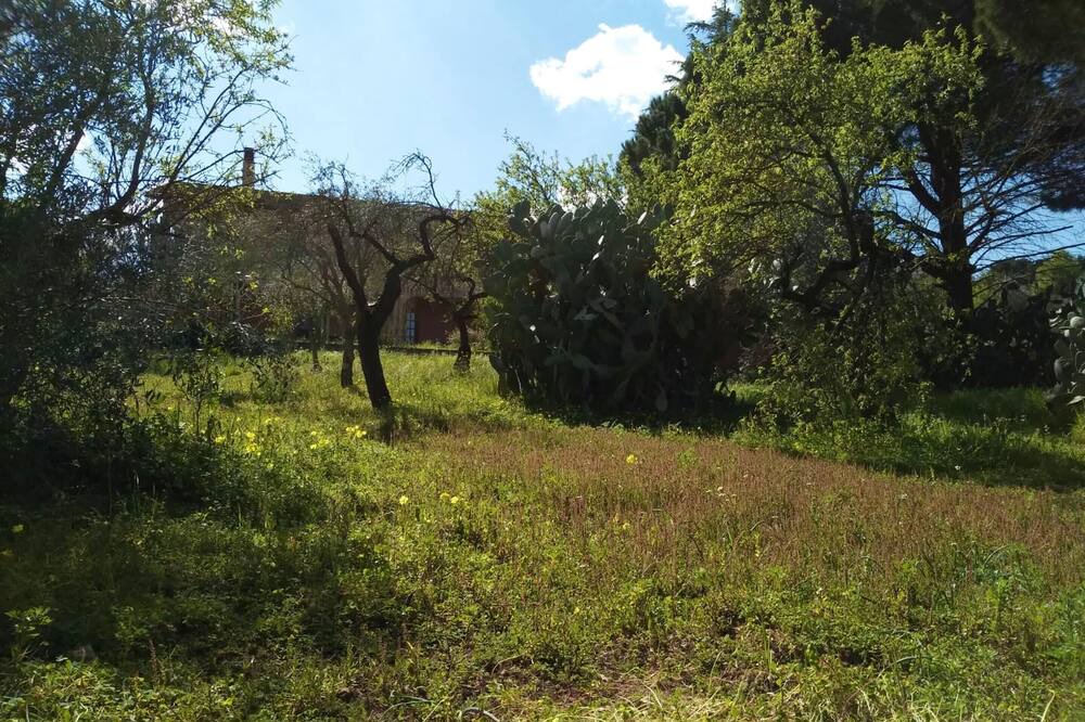 Photo of Outdoor in Caltanissetta