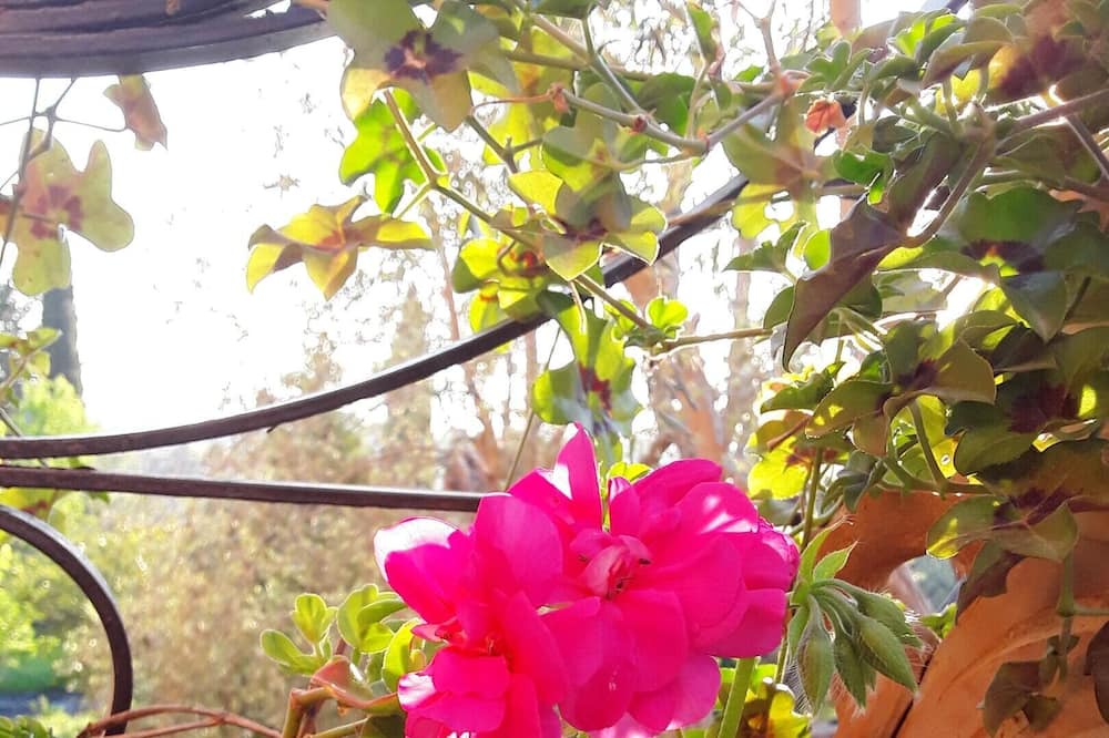 Photo of Outdoor in Caltanissetta