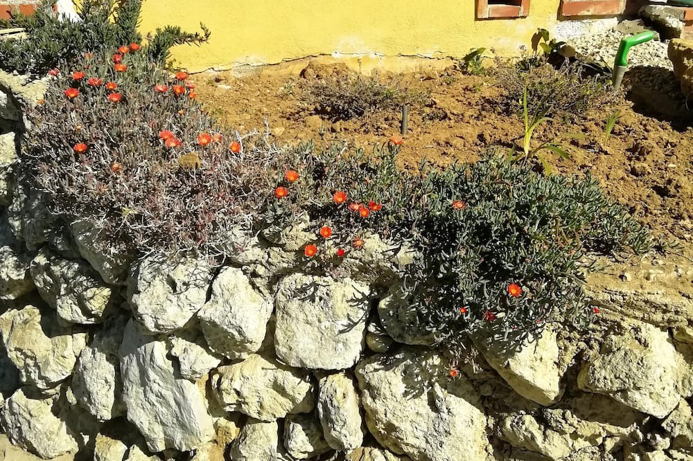 Photo of Others in Caltanissetta