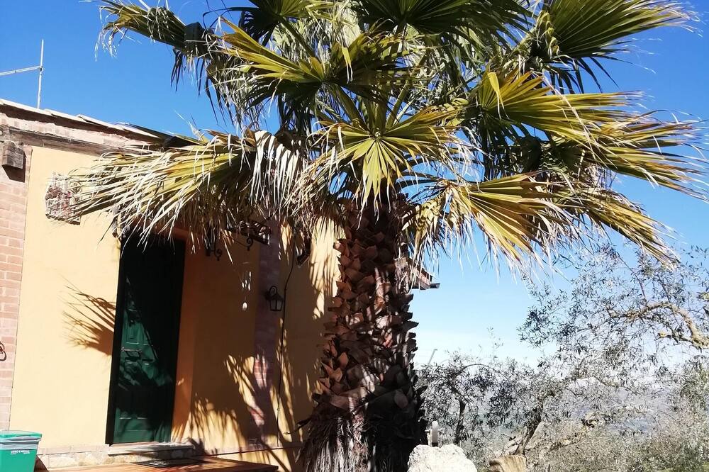 Photo of Outdoor in Caltanissetta
