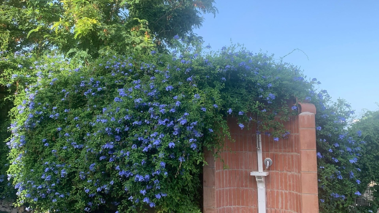 Photo of Outdoor in Campora San Giovanni