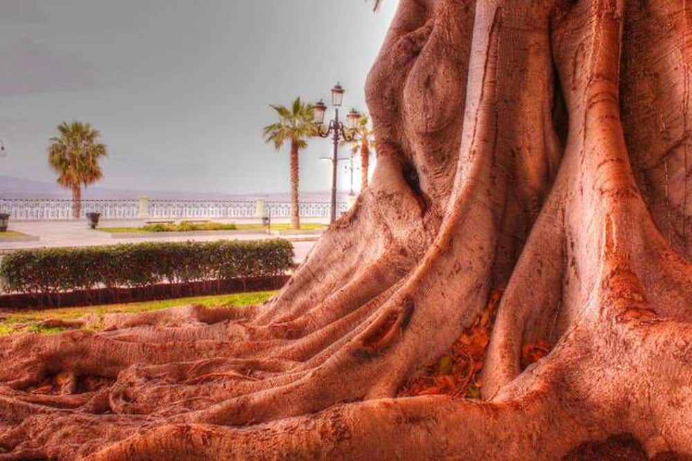 Photo of Others in Reggio Calabria