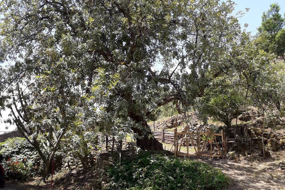 Photo of Outdoor in Motta Camastra