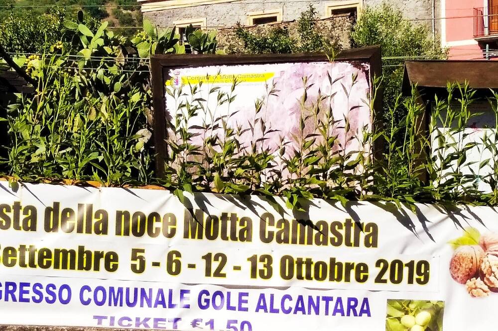 Photo of Outdoor in Motta Camastra