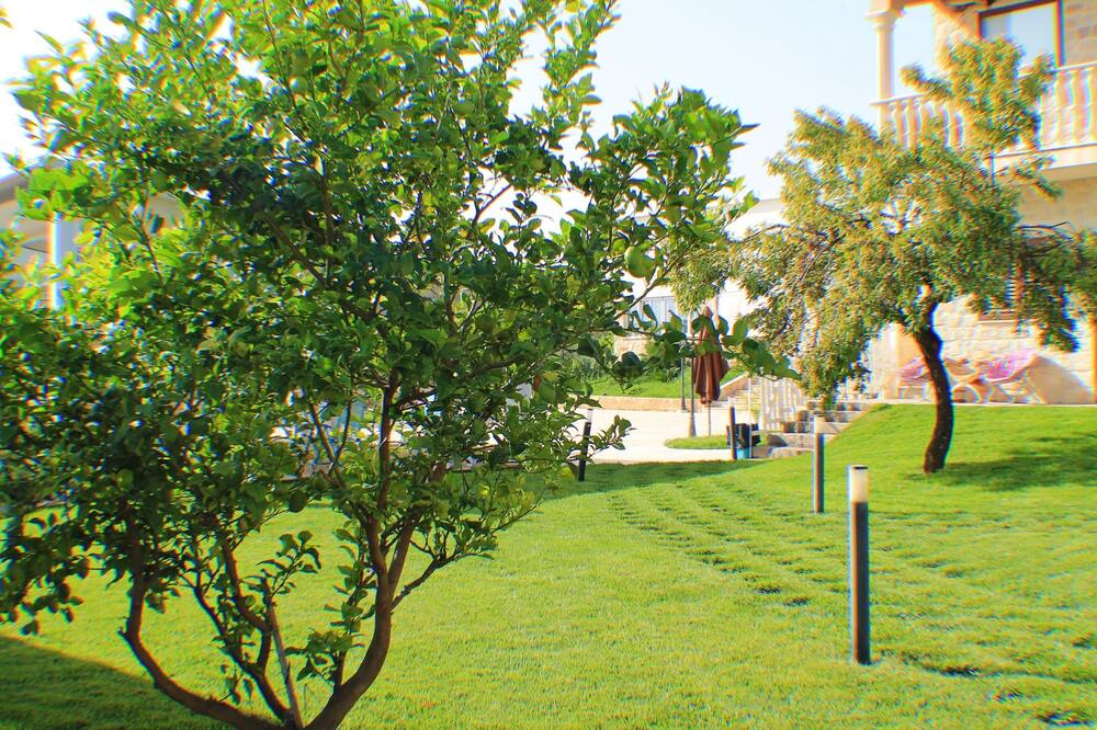 Photo of Outdoor in Casa Papa