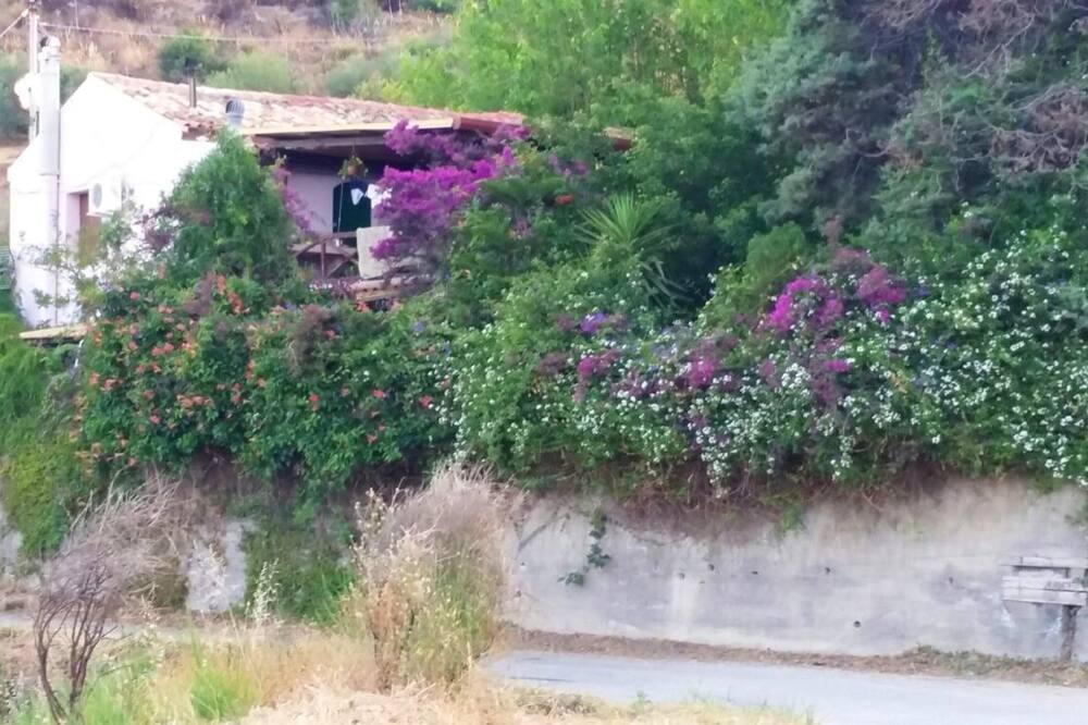 Photo of Others in Castelmola