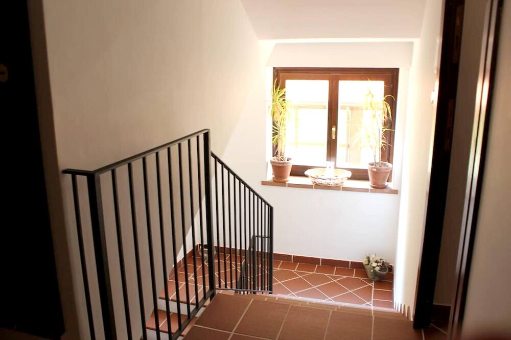 Photo of Others in Nicolosi