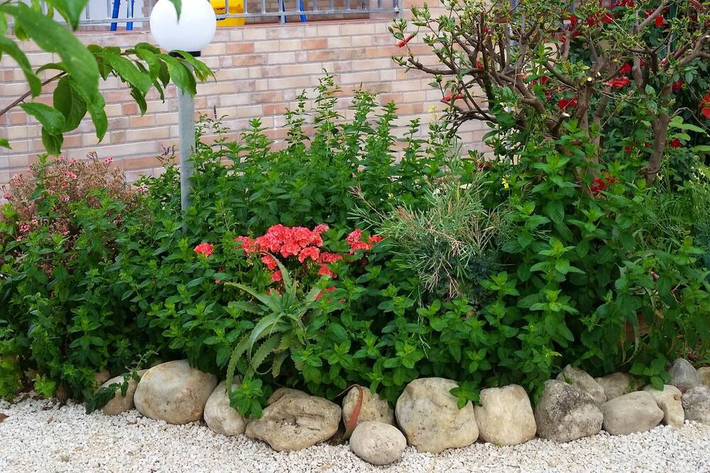 Photo of Outdoor in Sciacca