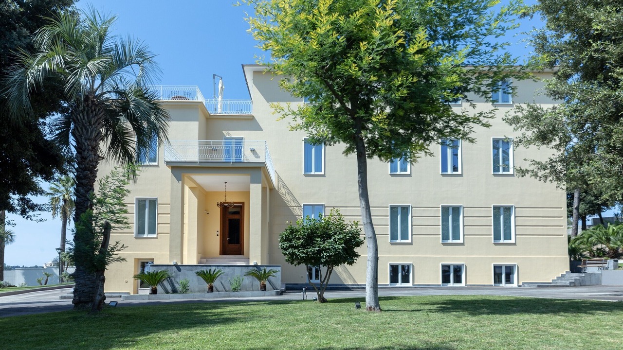 Photo of Outdoor in Licola