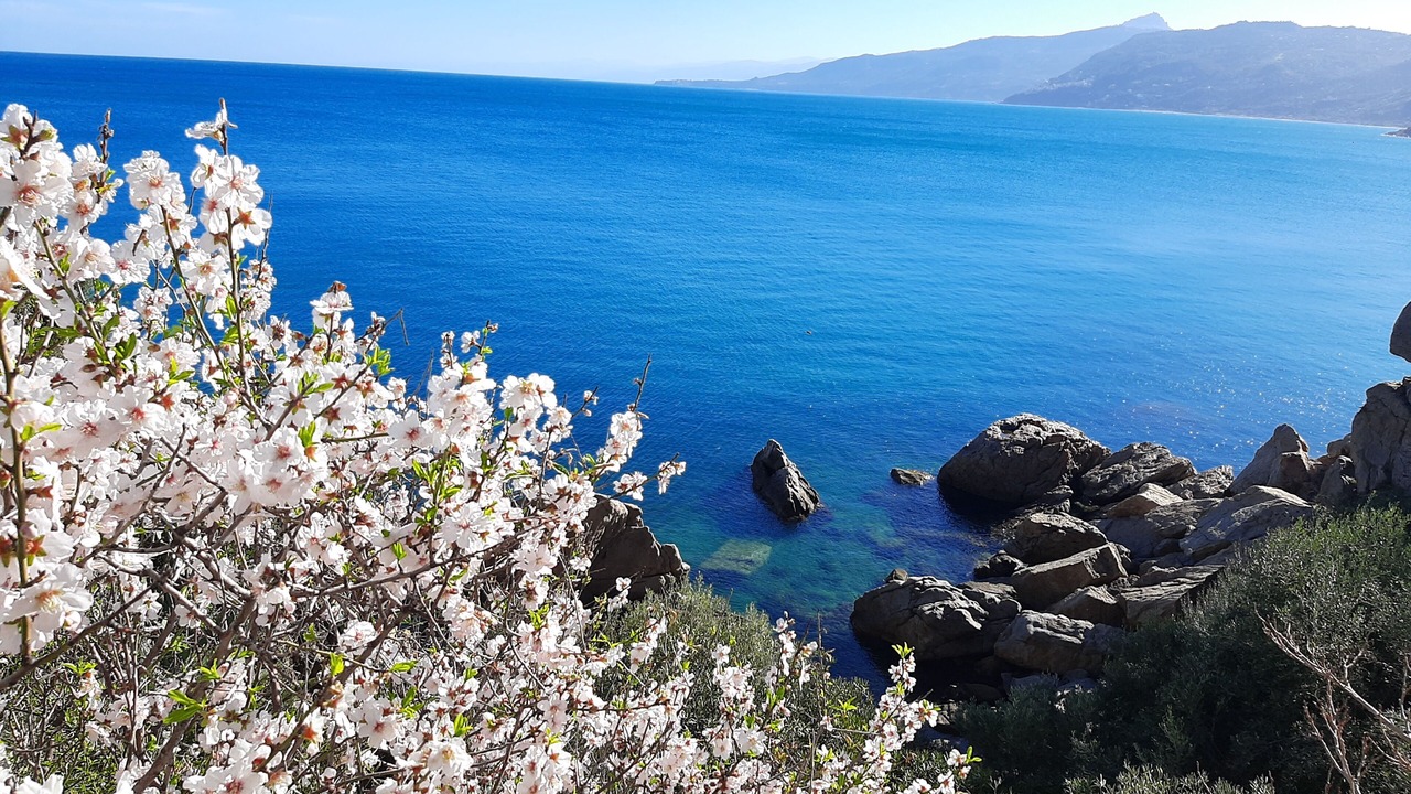 Photo of Others in Cefalu