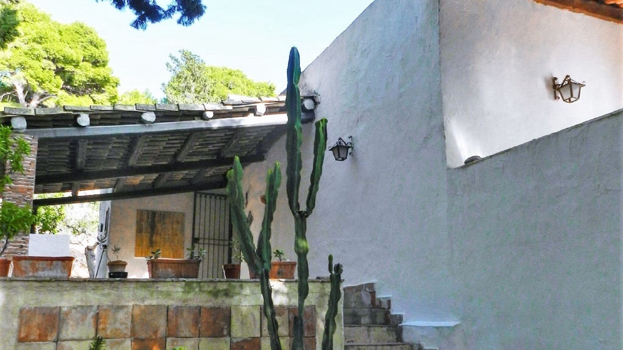 Photo of Outdoor in Mockarta