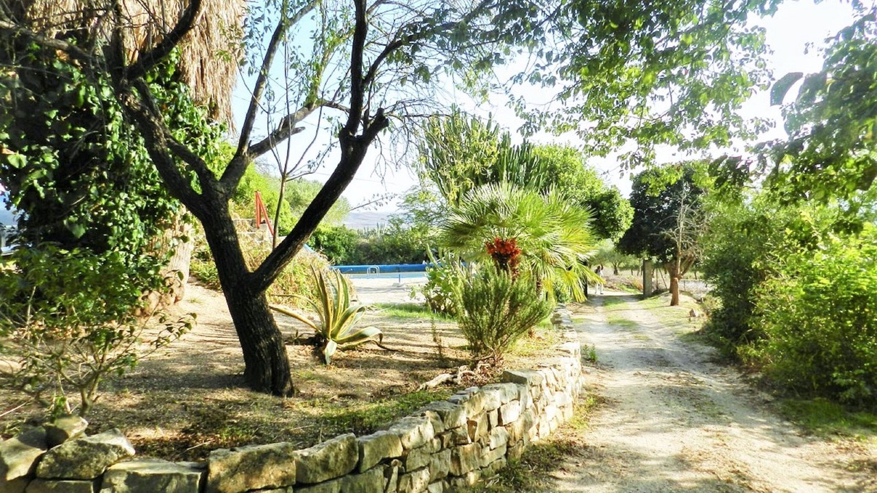 Photo of Outdoor in Mockarta