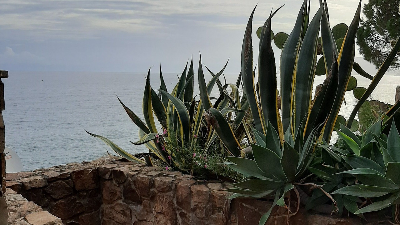 Photo of Outdoor in Cefalu