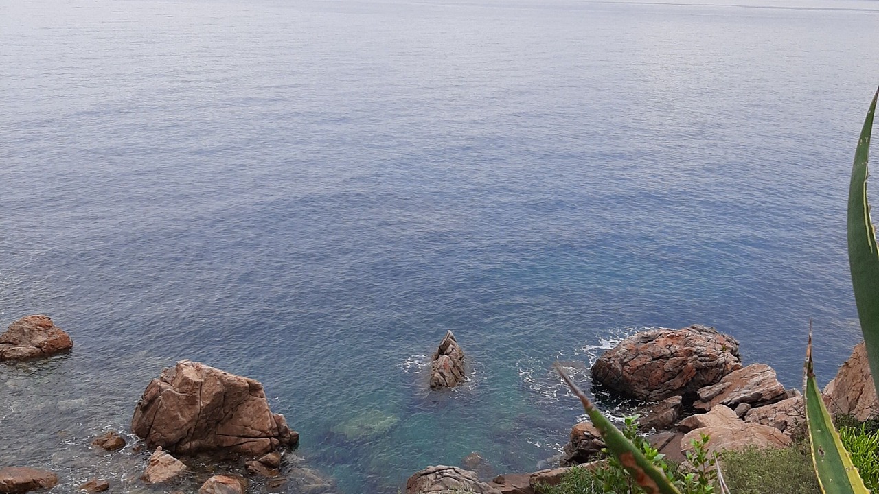 Photo of Others in Cefalu