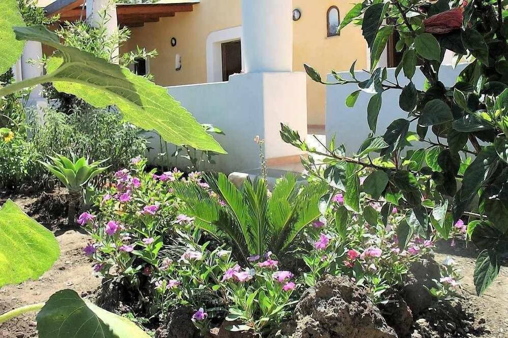 Photo of Outdoor in Malfa