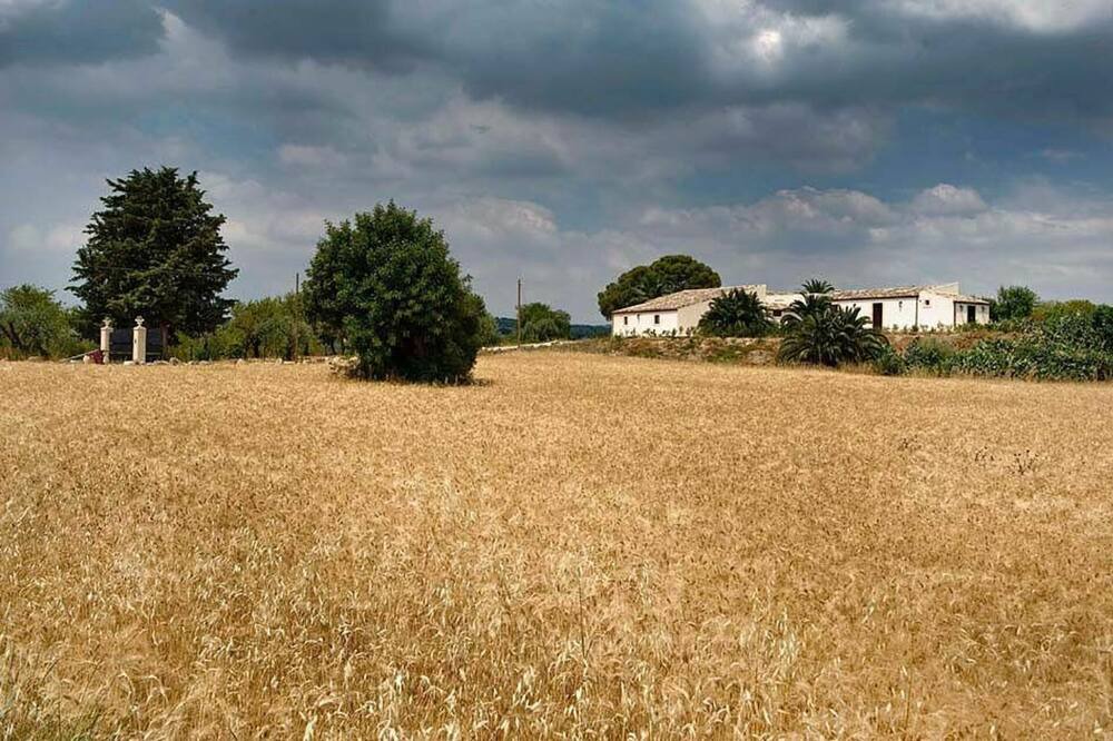Photo of Outdoor in Noto