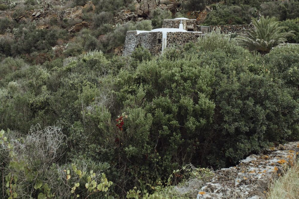 Photo of Others in Kamma