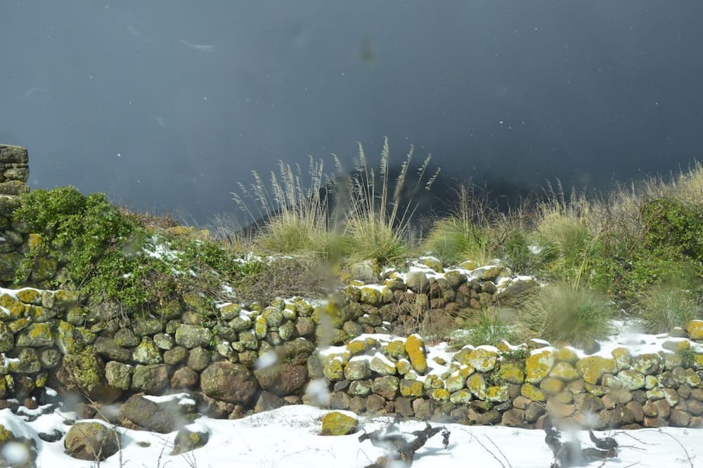 Photo of Outdoor in Kamma
