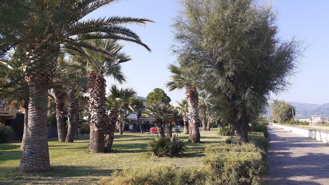 Photo of Outdoor in Tonnarella