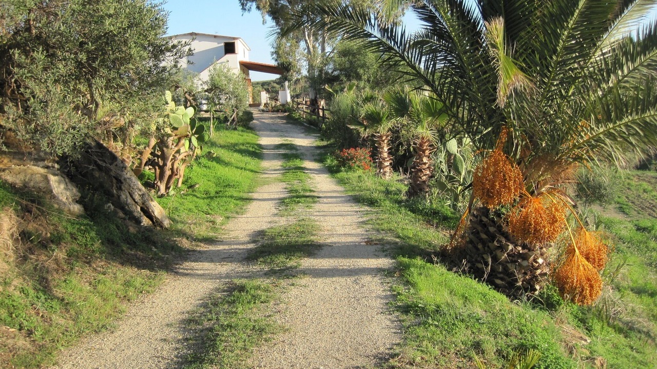 Photo of Outdoor in Ribera