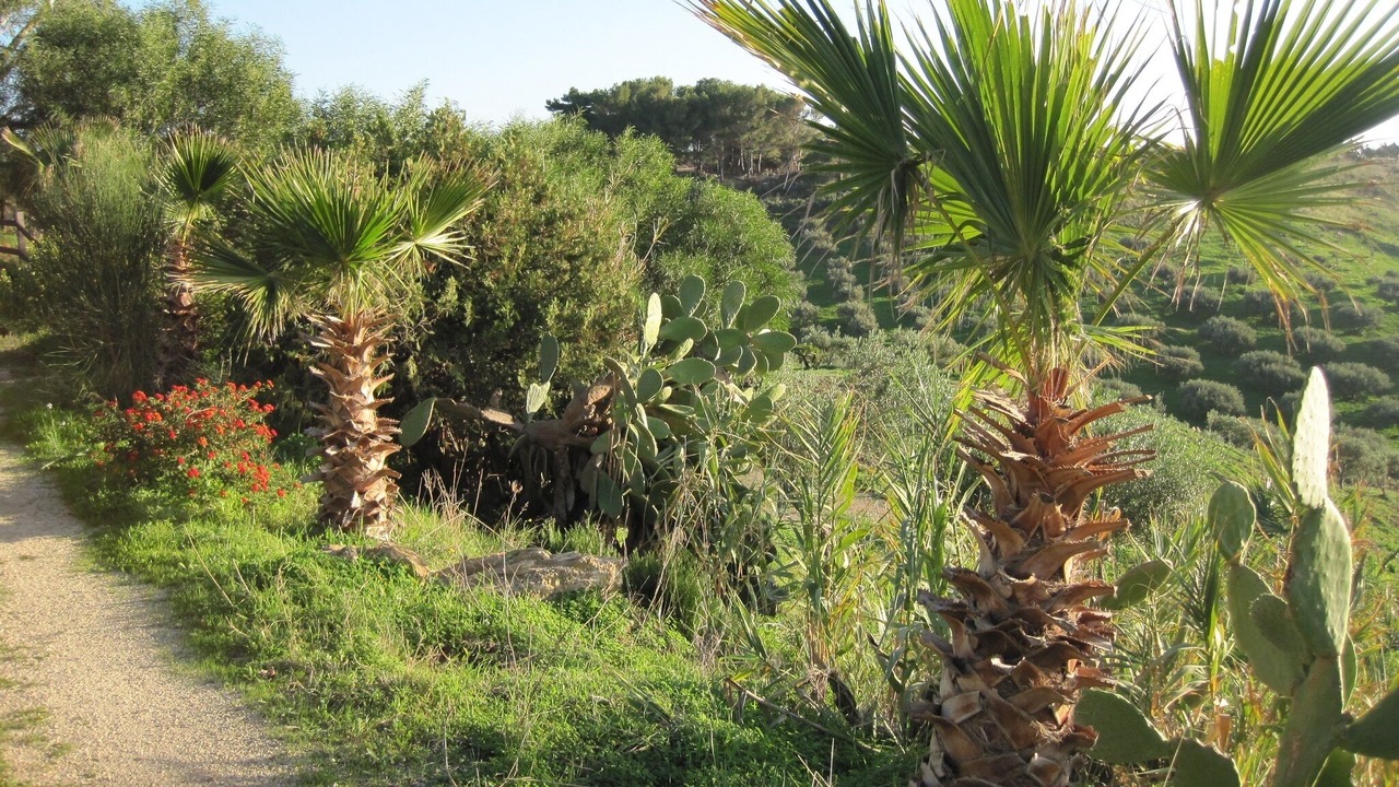 Photo of Outdoor in Ribera