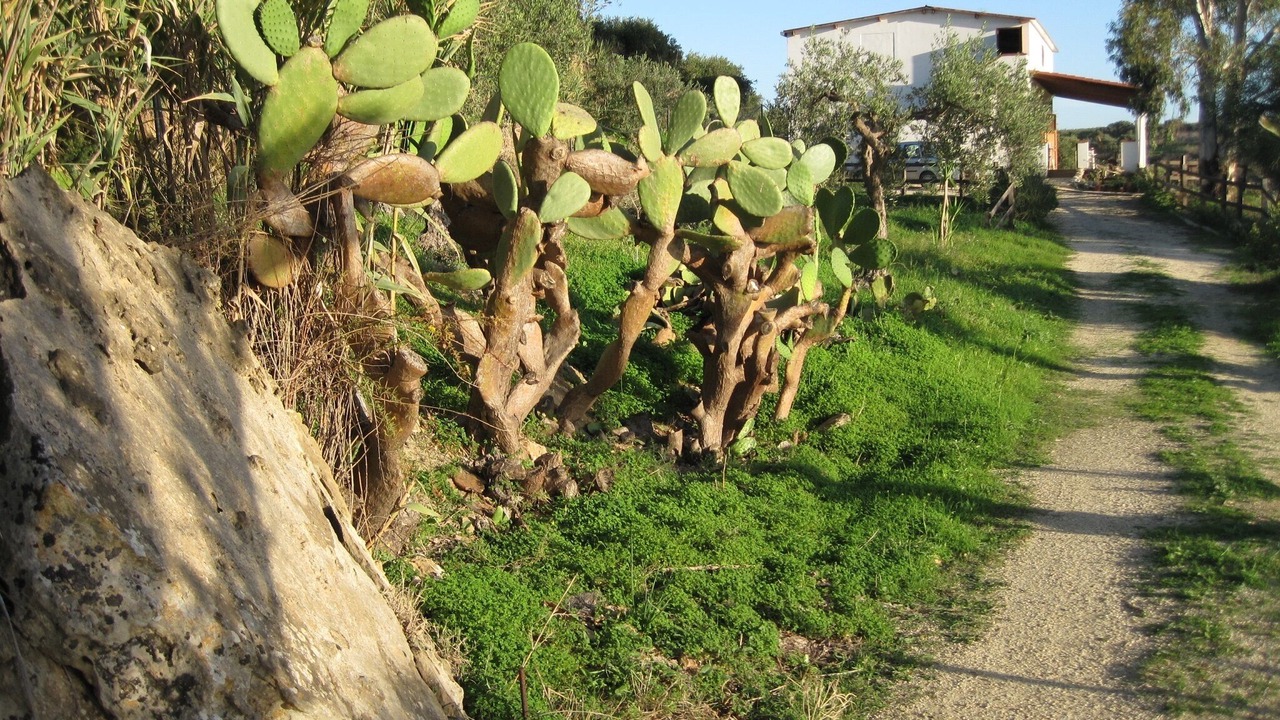 Photo of Outdoor in Ribera