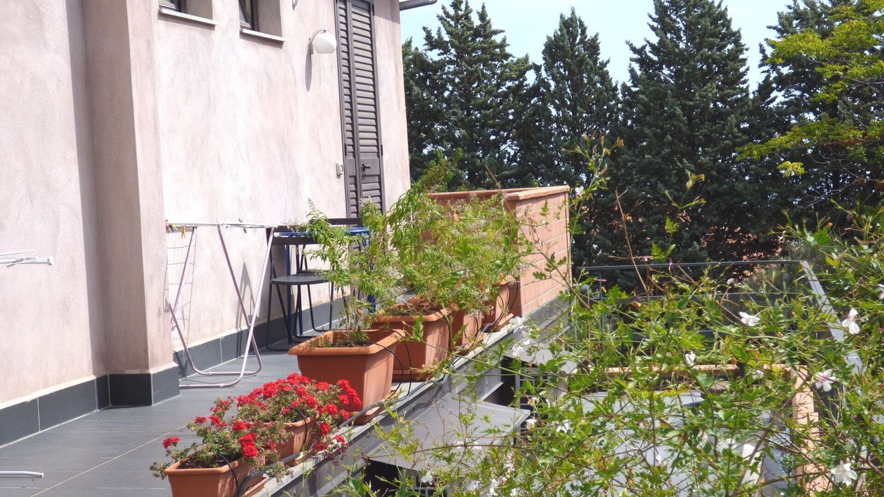 Photo of Outdoor in Nicolosi