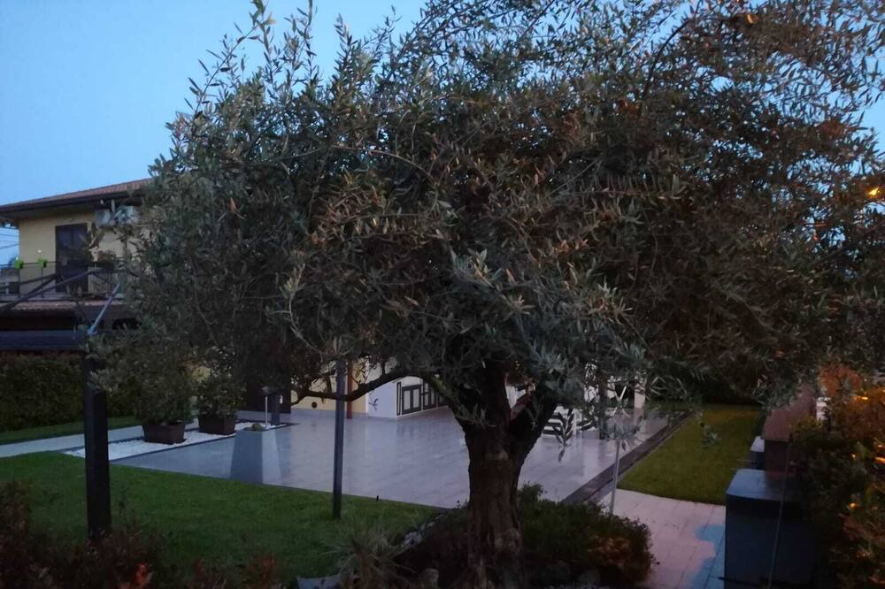 Photo of Outdoor in Sant'Anna