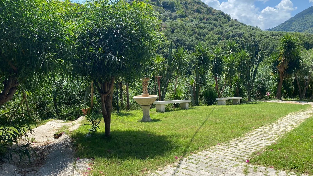 Photo of Outdoor in Gioiosa Marea