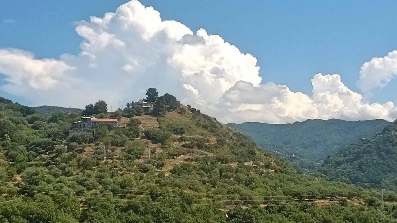 Photo of Outdoor in Gioiosa Marea