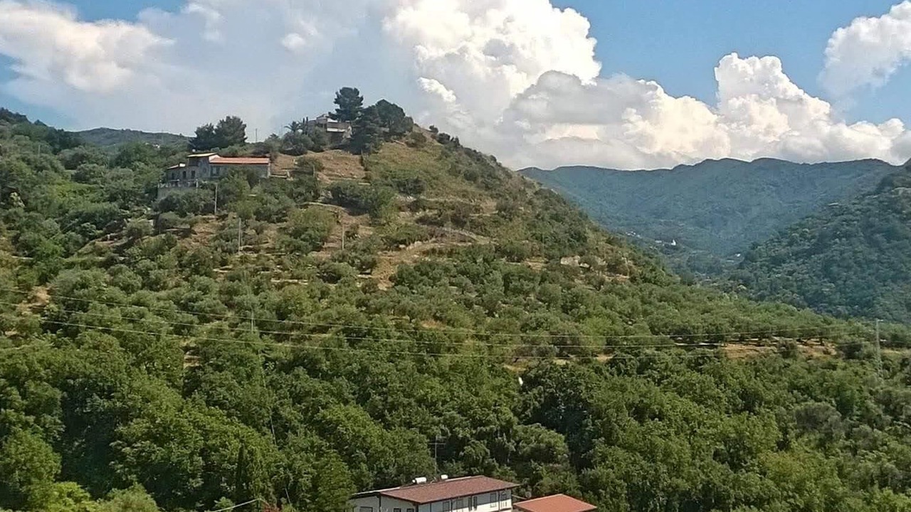 Photo of Outdoor in Gioiosa Marea