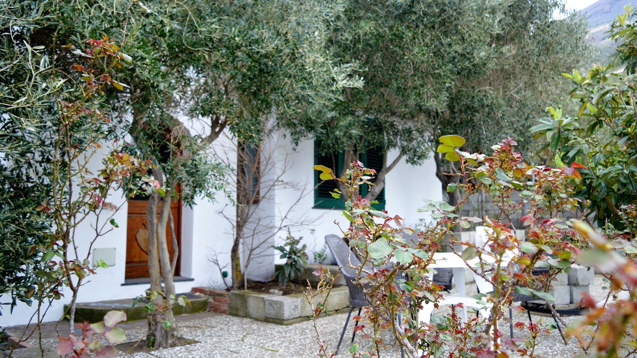 Photo of Outdoor in San Vincenzo