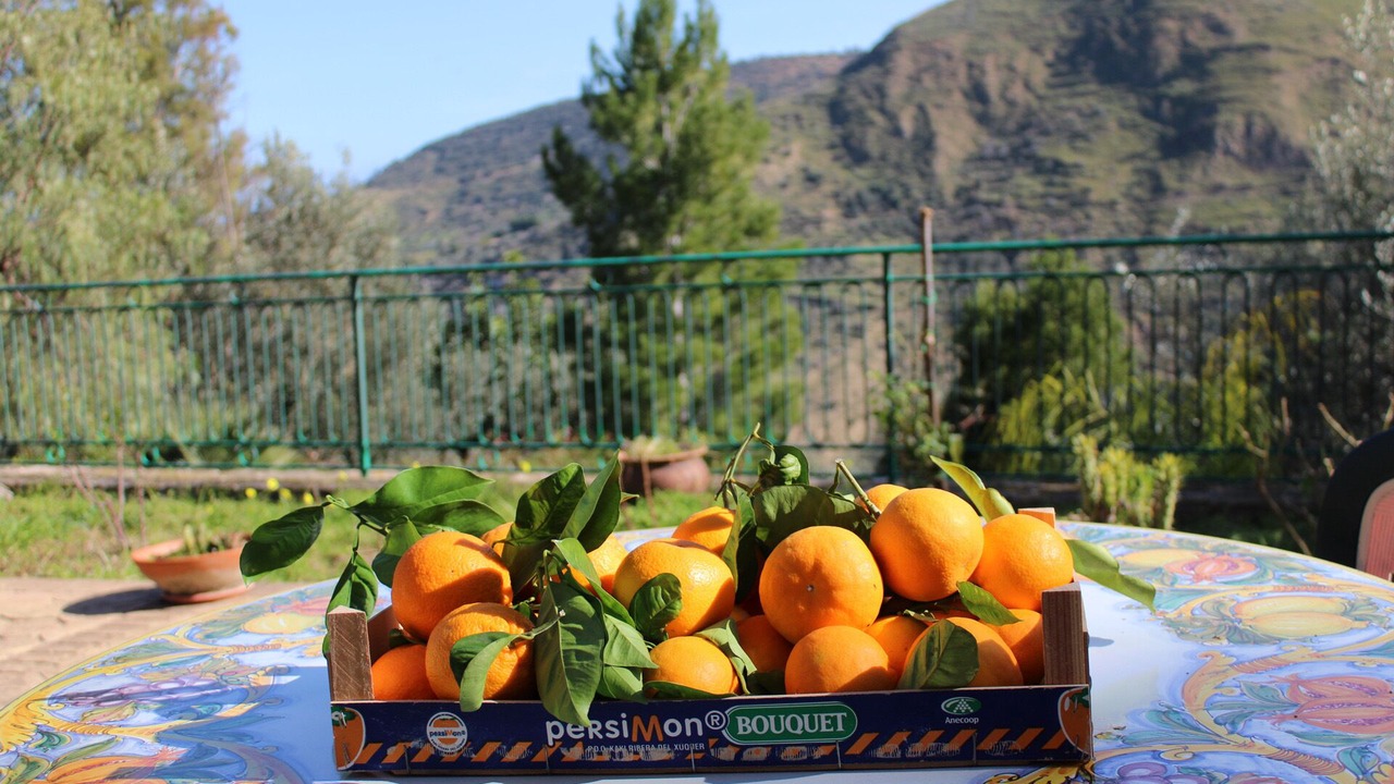 Photo of Outdoor in Santo Stefano di Camastra