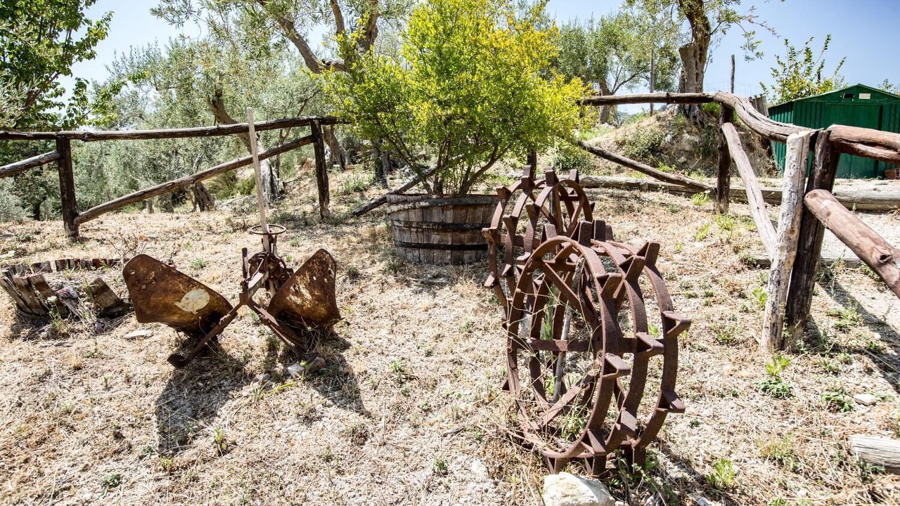 Photo of Outdoor in Patti