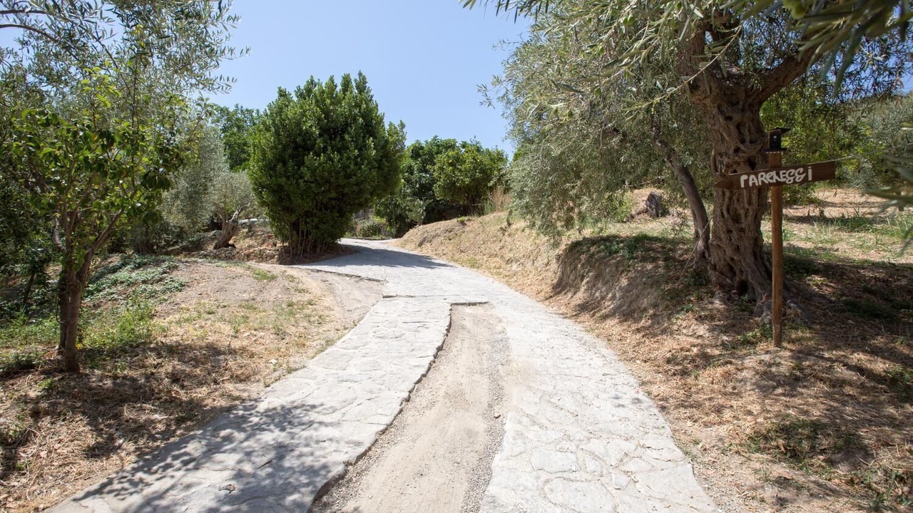 Photo of Outdoor in Patti