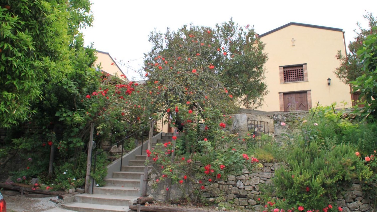 Photo of Outdoor in Patti