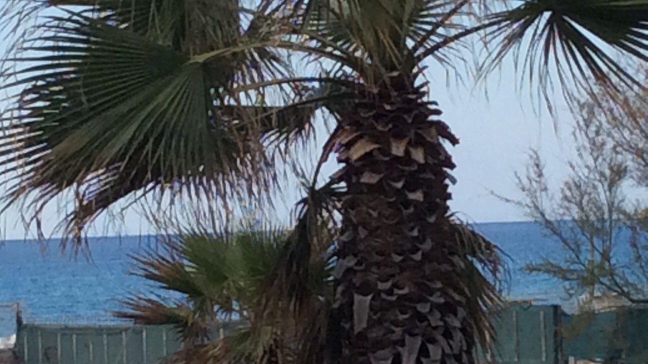 Photo of Outdoor in Capaci