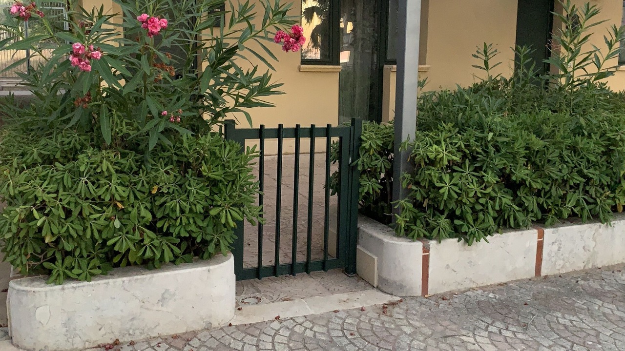 Photo of Outdoor in Capaci