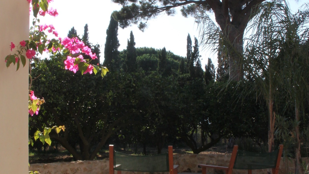 Photo of Patio Balcony in Partinico