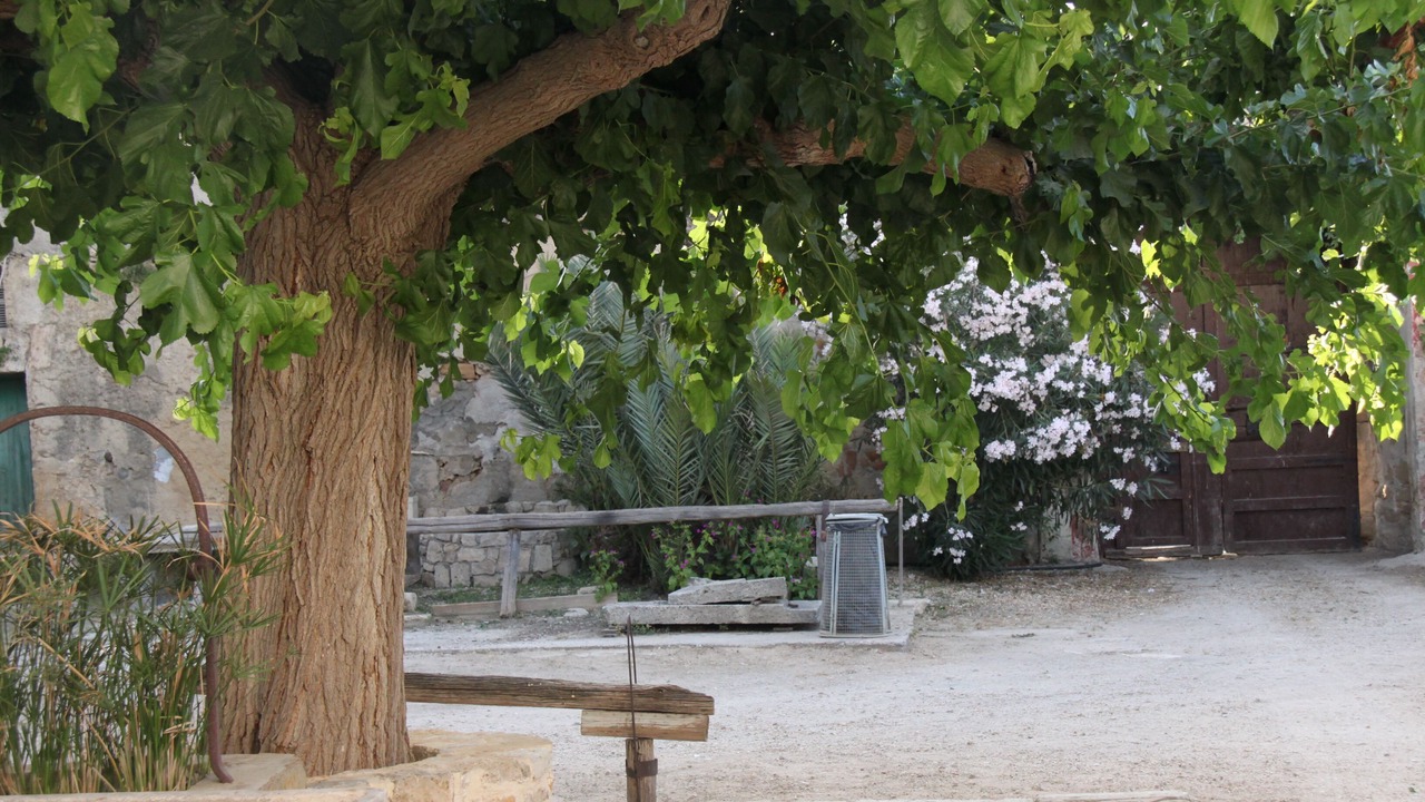 Photo of Outdoor in Partinico