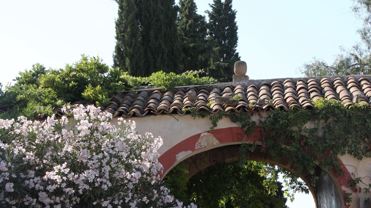 Photo of Outdoor in Partinico